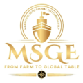 MSGE LLP